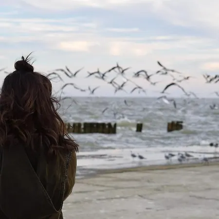 Apartment 54° Nord 6