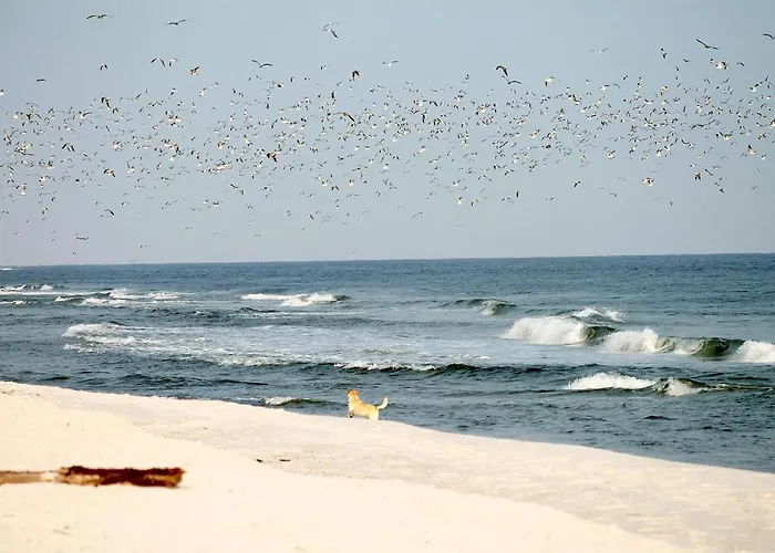 Lejlighed 54° Nord 6 Grömitz